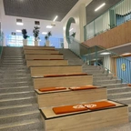 Интерьерные стеновые HPL панели Fundermax 0637 Cavalli Chestnut FH тест миниатюра 4